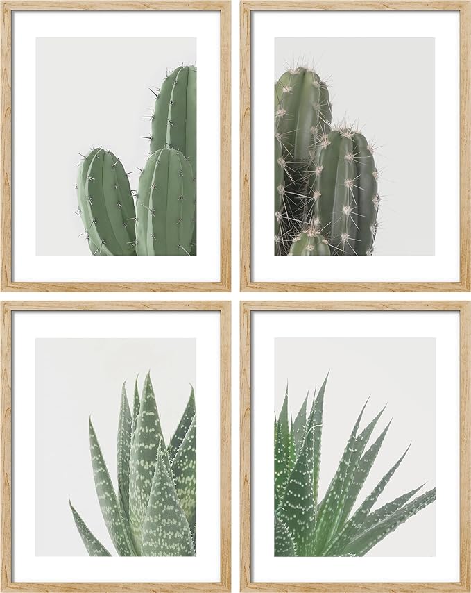 SIGNWIN Framed Green Cactus Snake Plant Wall Art, Set of 4 Collage Desert Landscape Wall Decor Prints, Nature Wilderness Wall Décor for Living Room, Bedroom - 11"x14"Natural