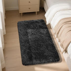Fluffy Rug Shaggy Area Rug, Black 2x4 Area Rugs for Bedroom, Small Bedside Rug, Soft Fluffy Shaggy Entryway Throw Rugs for Living Room Bedroom Kids Room Home Decor