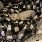 UKELER Buffalo Check/Plaid Throw Blanket 60''×50'' for Couch- Ultra Soft Plush Flannel Fleece Sherpa Throw Bed Throws for Kids and Adult