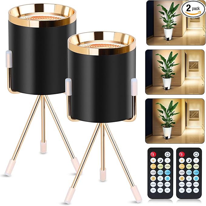 Spot Lights Indoor Floor Lamp, 6W Uplighting Indoor with Remote, Dimmable & Timer & 3 Color Temperatures, 2700K to 6500K Floor Can Lights for Plants Pictures Corner Ambient Lighting, 2 Pack