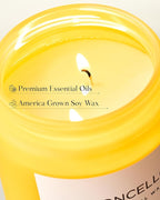M&SENSE Limocello Summer Scented Candle, 19.4oz 110 Hours Long Lasting Burn Non Toxic Natural Soy Wax Lemon Highly Scented for Home Decor, 2 Wick Relaxing Candle Gifts for Yoga Spa Meditation