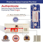 Raajsee Incense Stick Holder Bundle with Satya Nag Champa Incense Sticks 250 gmx 4 Pack (1000 GMS), Insense Sticks Nag Champa Agarbatti