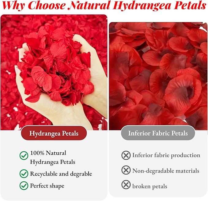 1500+ Real Dried Red Hydrangea Flower Petals - 1.06 oz Natural Preserved Petals for Wedding, Party Confetti,Proposal Decor