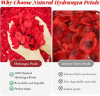 1500+ Real Dried Red Hydrangea Flower Petals - 1.06 oz Natural Preserved Petals for Wedding, Party Confetti,Proposal Decor