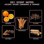 LOVSPA Reed Diffuser Set, Spiced Pomander Scented Oil Diffuser with Sticks, Home Fragrance Accessories for Bathroom Shelf Decor, Aroma Diffusers for Home or Office Desk, USA Made