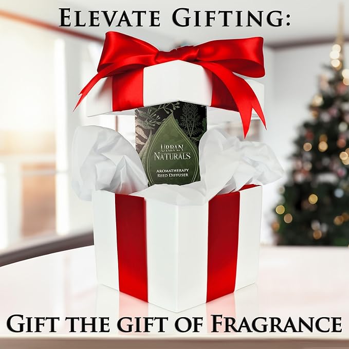 Urban Naturals Oud & Citrus Reed Diffuser Set – Made with Essential Oils – Citrus, Oud, Cedar, Amber & Wood Notes – 5 Ounce Sleek Black Rectangular Refillable Glass Bottle – Made in The USA