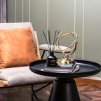 Lady Roza Reed Diffuser 5 oz - Luxury Aromatherapy with Rose & Red Fruits - Home Decor Gift for Bedroom, Office, Living Room, Bathroom - Long Lasting Scent with Premium Fragrance Sticks