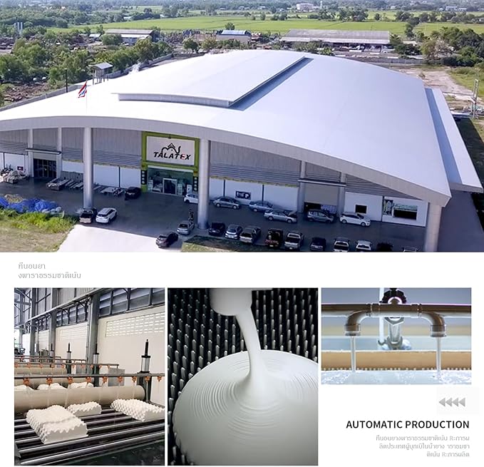 Talatex Premium Talalay Latex Pillow, Supportive and Comfortable, Relieves Pressure Points, Ideal Gift with Removable Tencel Cover