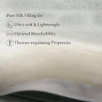 CUDDLE DREAMS Lightweight Silk Filled Comforter for Summer, Detachable Tencel Duvet Cover for Easy Care, Naturally Breathable (Light Pewter, Queen)