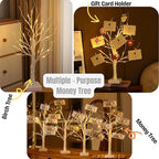 Money Tree Gift Holder, Pre-lit Birch Tree, Battery/USB Powered Light Up Display Twig Gift Card Treelight with 22 Clips and 6 Cards for Home Christmas Graduation Photo Memo