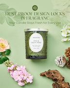 M&SENSE Pine & Moss Scented Candles, Natural Soy Wax 18oz 100 Hours Long Lasting Slow Burn, Cracking Wooden Wick Aromatherapy Candle for Women, Winter Holiday Christmas Gifts