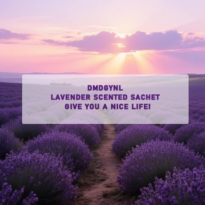 Lavender Scented Sachet Bags - 12 Pack Home & Car Freshener, Odor Eliminator for Closets, Rooms, Drawers, Wardrobes, Toilets, Long - Lasting 360 - Day Fragrance