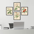 SIGNWIN Framed Vintage Colorful Wildflower Wall Art, Set of 4 Variety Floral Wall Decor Prints, Nature Wilderness Wall D¨¦cor for Living Room, Bedroom - 12"x16" Black