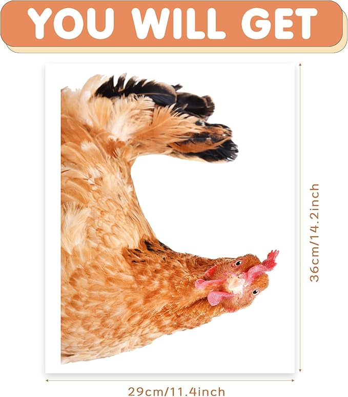 Chicken Lover Gifts Window Stickers, Cute Hens Wall Decals Peel and Stick, Funny Removable Vinyl Chicken Decoration for Farmhouse Kitchen Bedroom Door Refrigerator