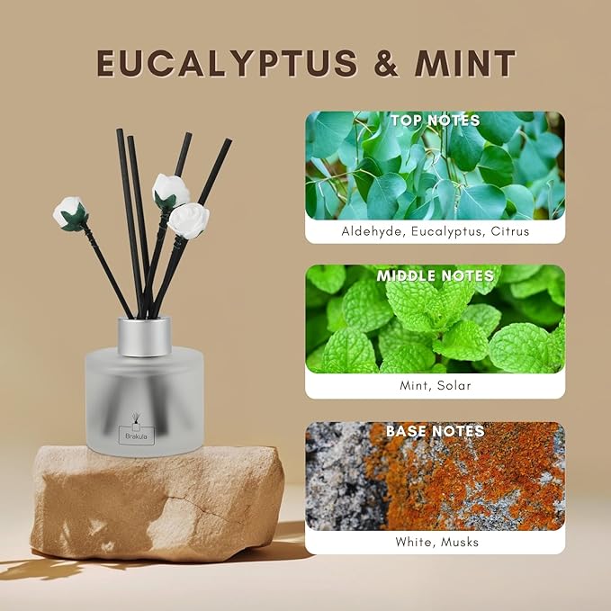 Brakula Reed Diffuser Set, Eucalyptus & Mint Scented， Reed diffusers for Home， Home Fragrance Diffuser with 7 Reed Sticks for Room/Bathroom Decor 3.38 fl oz(Eucalyptus & Mint)