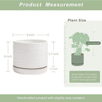 8 Inch Pots for Plants, Ceramic Planter Pot with Drainage Hole & Saucer, Indoor/Outdoor Cylinder Round Planter Pot, Matte White