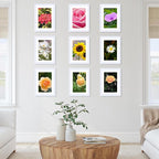 12 Packs 5x7 Picture Frames Bulk, Display 4x6 with Mat or 5x7 Without Mat, White Gallery Frame Set, 5 by 7 Frames Bulk Set of 12, Collage Wall Decor Photo Frame Set for Wall and Tabletop, White