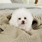 Amélie Home Chenille Knit Throw Blanket for Couch, Chevron Texture Decorative Soft Blanket for Sofa, Bed & Chair, 50"x60", Beige