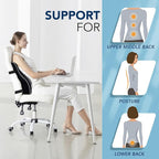 Lumbar Support Pillow for Office Chair, Memory Foam Cushion with Updated 3D Mesh Cover for Back Pain Relief, Ideal for Computer/Desk Chair, Car Seat, Gaming Chair, Recliner