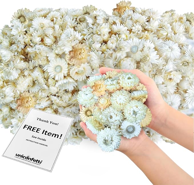 Dried Flower White Straw Daisy Biodegradable Confetti - Real Flower Petals for Weddings, Flower Girl Toss, Wedding Send Off Ideas, Party Table Decoration | Boxed - 8oz (0.5lbs)