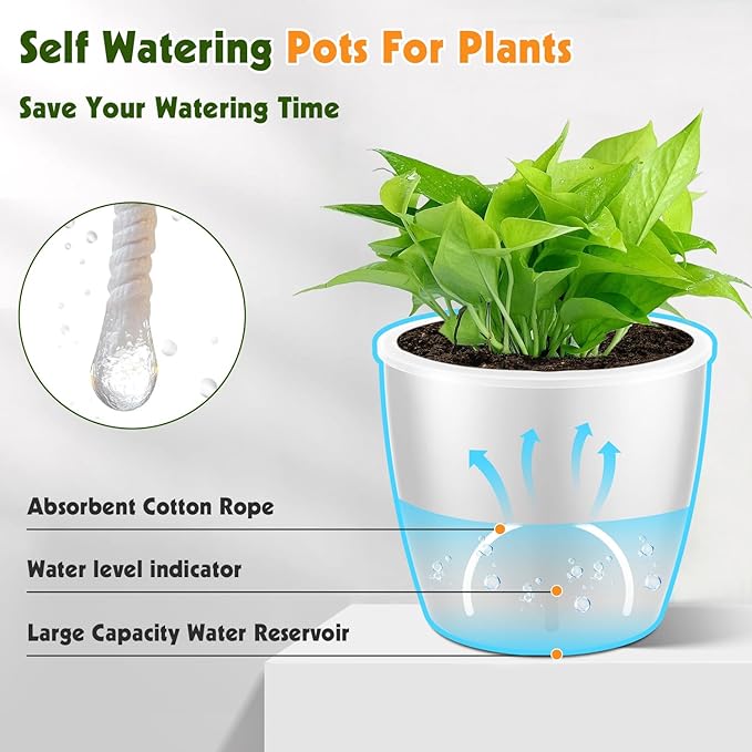 Self Watering Pots for Indoor Plants, 6-Pack 6.7'' Self Watering Planter with Drainage Holes, Small African Violet Pots with Water Indicator, Clear Wick Orchid Pot, White