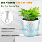 Self Watering Pots for Indoor Plants, 6-Pack 6.7'' Self Watering Planter with Drainage Holes, Small African Violet Pots with Water Indicator, Clear Wick Orchid Pot, White