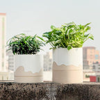 Nihow Ceramic Plant Pot: 6 Inch Planter with Drainage Hole & Saucer for Indoor & Outdoor Plants - Cylinder Round Flower Pot for Succulent/Herbs/Violets - White & Nature