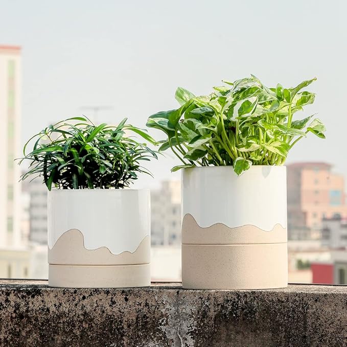 Nihow Ceramic Plant Pot: 6 Inch Planter with Drainage Hole & Saucer for Indoor & Outdoor Plants - Cylinder Round Flower Pot for Succulent/Herbs/Violets - White & Nature