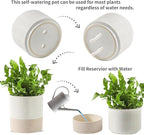 Nihow Self Watering Plant Pot for Indoor Plants: 4.5+6 Inch Ceramic Planter with Drainage Hole & Water Storage Plus - Cylinder Flower Pot with Wick for Herbs -White & Brown