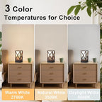 Table Lamp, Set of 2 Rustic Farmhouse Nightstand Lamps, 3 Color Temperatures Desk Lamp with USB Charging Ports AC Outlet Vintage Lamp for Living Room Bed Room, Brown Tiger Pattern