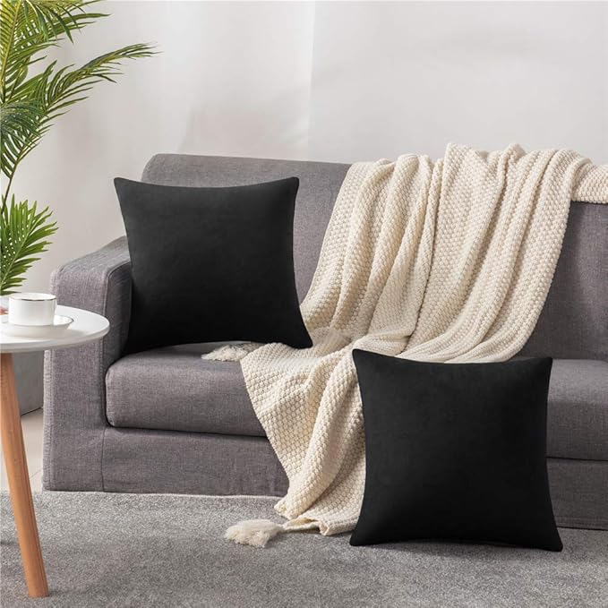 Decorative Pillow Covers 20x20 Black: 2 Pack Cozy Soft Velvet Square Throw Pillow Cases for Farmhouse Home Decor