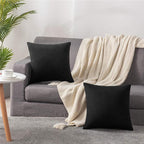 Decorative Pillow Covers 20x20 Black: 2 Pack Cozy Soft Velvet Square Throw Pillow Cases for Farmhouse Home Decor