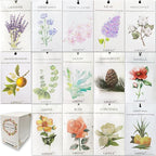 14 Packs Scented Sachets fit Drawers and Closets 14 Different Scent Gift Box