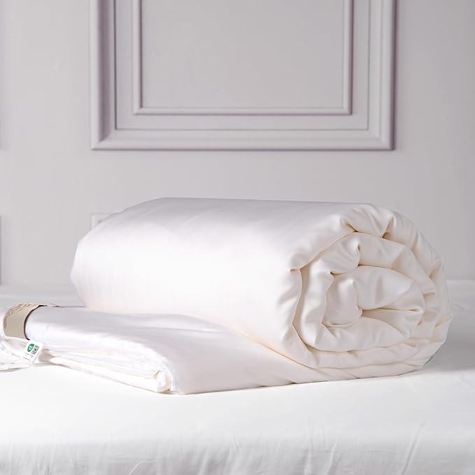 CUDDLE DREAMS Silk Filled Comforter for All Season, Detachable Tencel Duvet Cover for Easy Care, Naturally Breathable (White, Queen)