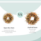 Bibelot Fall Front Door Wreath, 22" Artificial Floral with Colorful Daisies and Autumn Foliage - Orange for Wall, Window and Thanksgiving Decor