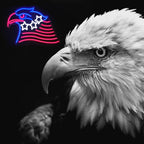Patriotic Eagle Flag Neon Sign USA Stars and Stripes LED Sign for Wall American Flag Neon Lights Signs for Bedroom Memorial Day 4th of July Independence Day American Eagle Day Decorations