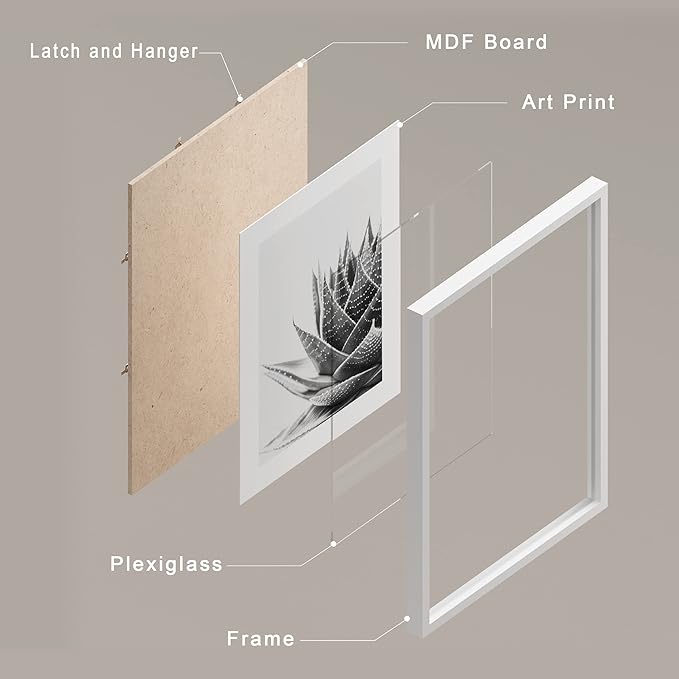 SIGNWIN Framed Black White Snake Plant Agave Cactus Succulent Wall Art, Set of 4 Floral Botanical Wall Decor Prints, Nature Wilderness Wall Décor for Living Room, Bedroom - 8"x10" White