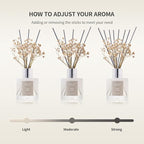 Airkeep Reed Diffuser Set,3.38 fl oz (100 ml) - Cashmere Vanilla Oil Diffusers with 8 Reed Sticks, Home Fragrance Reed Diffuser for Bathroom Shelf Decor