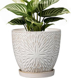 G EPGardening 6 Inch Plant Pot for Indoor Plants Outdoor Round Ceramic Planter Decorative Flower Pot with Drainage Hole and Saucer White
