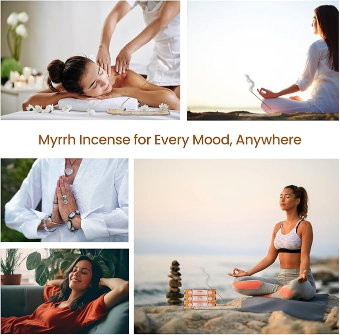 Satya Myrrh Incense Sticks, Satya 15gmx12 Pack with Raajsee Incense Holder Bundle, Satya Nagchampa Natural Incense