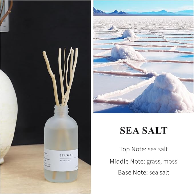 Sea Salt Reed Diffuser Set of 2-14.8 oz(220mlx2) Sea Salt Musk and Grass Essential Oils, Bathroom Air Freshener with Willow Branches Decor, Long Lasting Fragrance for Home, Office