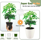 Self Watering Pots for Indoor Plants, 6-Pack 6.7'' Self Watering Planter with Drainage Holes, Small African Violet Pots with Water Indicator, Clear Wick Orchid Pot, White