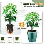 Self Watering Pots for Indoor Plants, 6-Pack 5'' Self Watering Planter with Drainage Holes, Small African Violet Pots with Water Indicator, Clear Wick Orchid Pot, Blue Gold