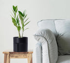 Phoenix Vine 6.5 Inch Self-Watering Planter Pot with Terracotta Insert, Deep Water Reservoir, and Ceramic-Alike BPA-Free Plastic Planter Pot for Plant, Modern Planter for Houseplants, Black, 53-A-S-2