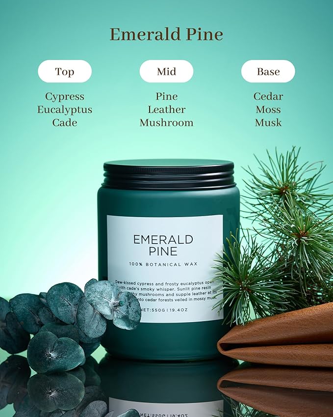 M&SENSE Pine Scented Candles Natural Soy Wax Clean Non Toxic 19.4oz 110 Hours Large Long Lasting Christmas Winter Scented 2 Wicks Candle Gift for Holiday & Family Friends Teachers