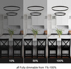 Modern Led Chandelier, 2 Rings Contemporary Chandelier Circular Pendant Light, Black Dimmable Hanging Ceiling Light Fixture for Living Dining Room
