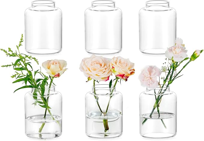 Glasseam Bud vases Set of 6: Glass Vases for Centerpieces Modern Small Vases for Home Table Shelf Wedding Party Decoration - Clear Vase for Flowers Stem Roses Tuilps Cuttings