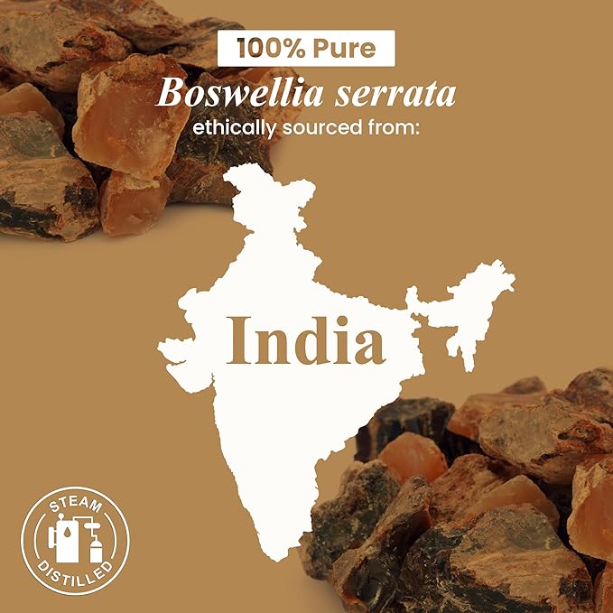 Handcraft Blends Organic Frankincense Essential Oil – 1 Fl Oz – 100% Pure and Natural – Premium Grade Essential Oil for Diffuser and Aromatherapy