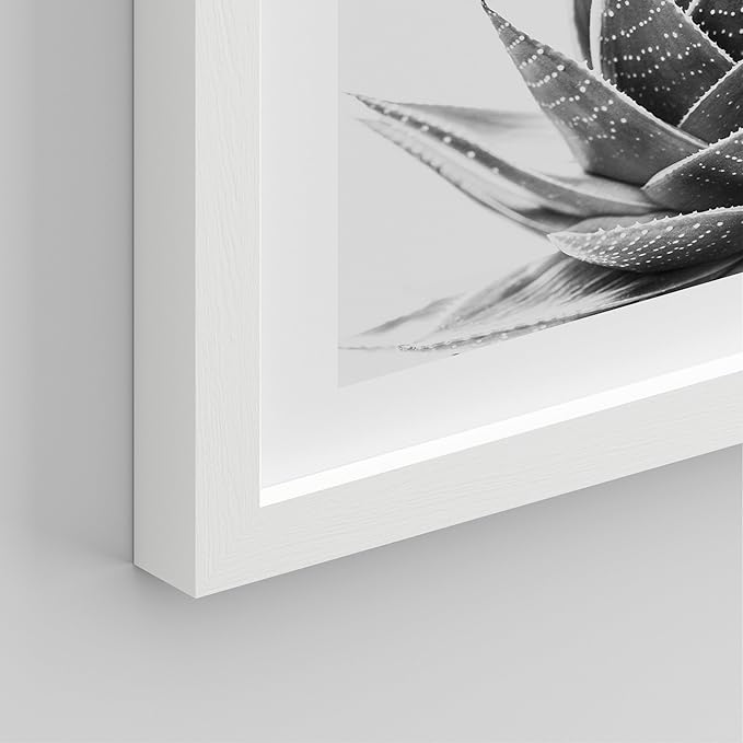 SIGNWIN Framed Black White Snake Plant Agave Cactus Succulent Wall Art, Set of 4 Floral Botanical Wall Decor Prints, Nature Wilderness Wall Décor for Living Room, Bedroom - 12"x16" White