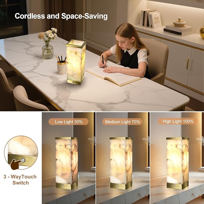 Scenekoy Alabaster Rechargeable Table Lamp for Living Room Bedroom Nightstand, Portable Battery Operated LED Bedside Lamp, Cordless Night Light for Home Office Dorm Desk Decor (Bulb Included)